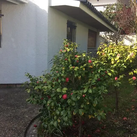 בית נופש Casa Dos Oliva *